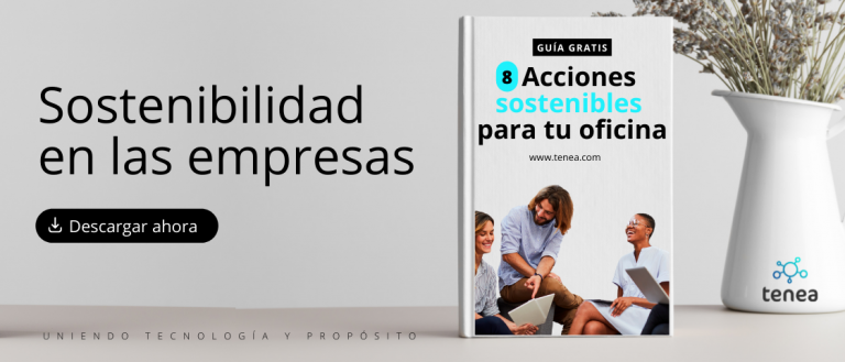 sostenibilidad empresas