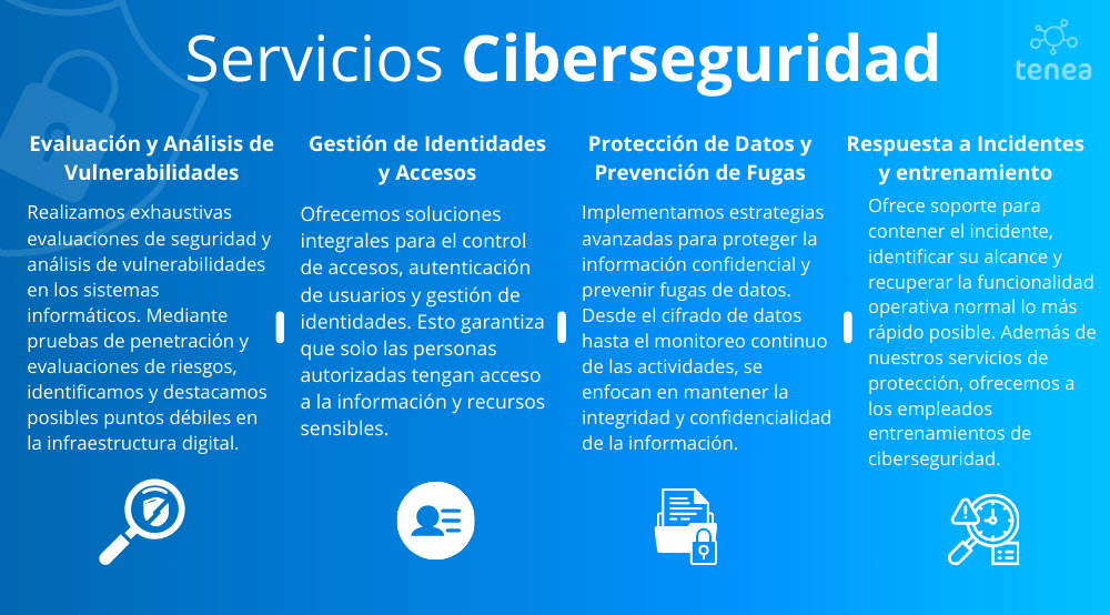 servicios ciberseguridad 